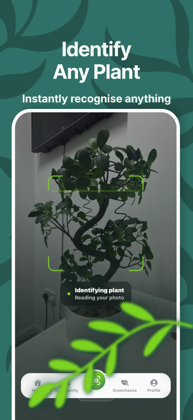 Sproutie App Store image showing a plant being identified through the camera